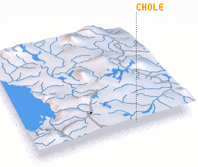 3d view of Chole