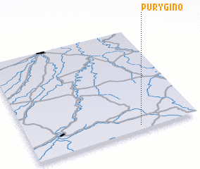 3d view of Purygino