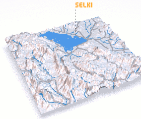 3d view of Selki