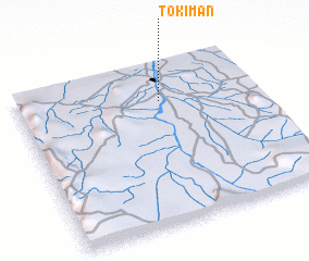 3d view of Tokiman
