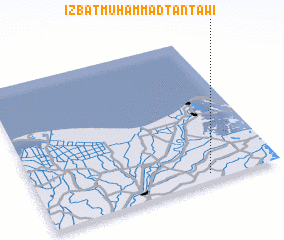 3d view of ‘Izbat Muḩammad Ţanţāwī