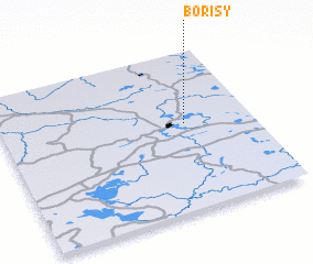 3d view of Borisy