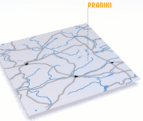 3d view of Praniki