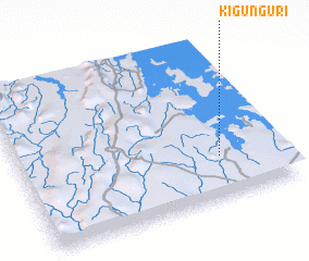 3d view of Kigunguri