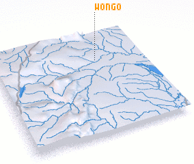 3d view of Wongo