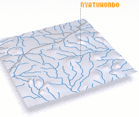 3d view of Nyatuwondo