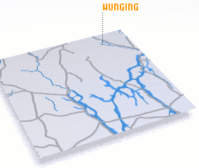 3d view of Wunging