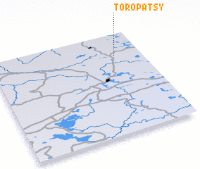 3d view of Toropatsy