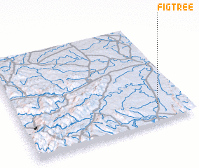 3d view of Figtree