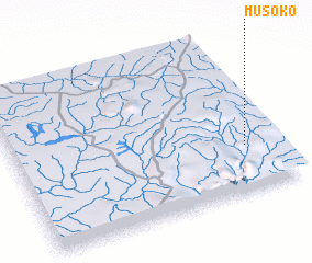 3d view of Musoko