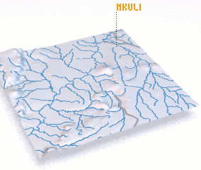 3d view of Mkuli