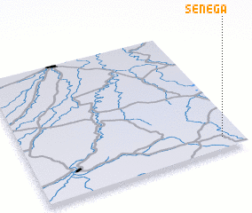 3d view of Senega