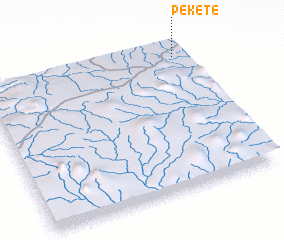 3d view of Pekete