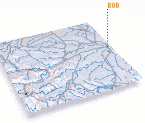 3d view of Bob