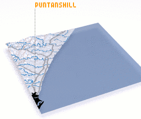 3d view of Puntans Hill