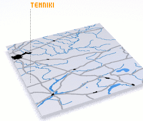 3d view of Temniki