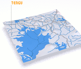 3d view of Tengu