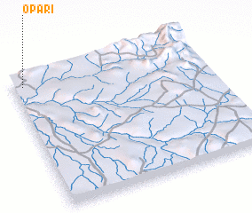 3d view of Opari