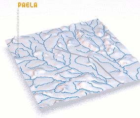 3d view of Paela