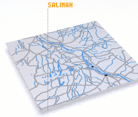 3d view of Salīmah