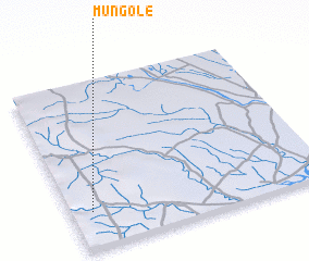 3d view of Mungole