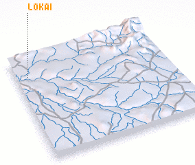3d view of Lokai
