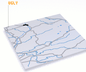 3d view of Ugly