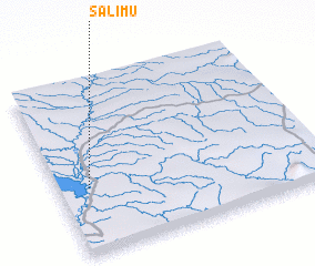 3d view of Salimu