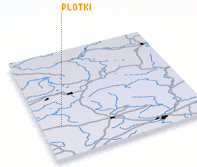 3d view of Plotki