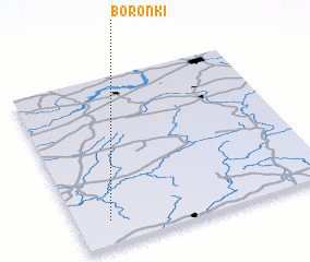 3d view of Boronʼki