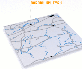 3d view of Boronʼki-Krutyak