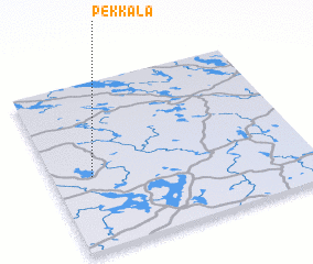 3d view of Pekkala