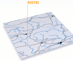 3d view of Pustki