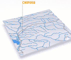 3d view of Chipuka