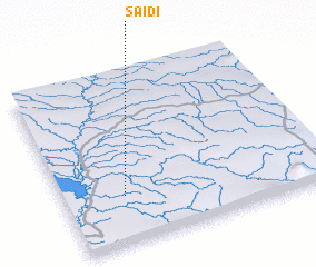 3d view of Saidi