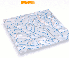 3d view of Munguwa