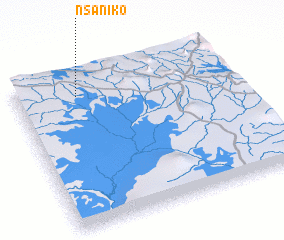 3d view of Nsaniko