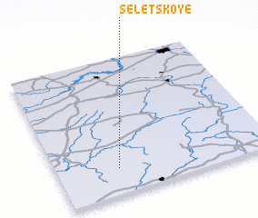 3d view of Seletskoye