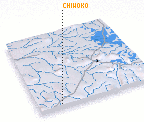 3d view of Chiwoko