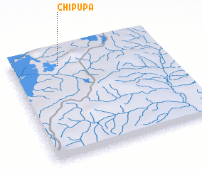 3d view of Chipupa