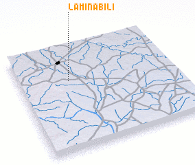 3d view of Laminabili
