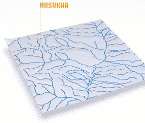 3d view of Musukwa