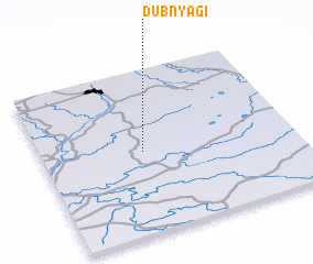 3d view of Dubnyagi