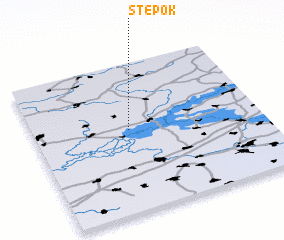 3d view of Stepok