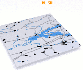 3d view of Pliski