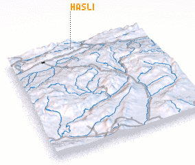 3d view of Haslı