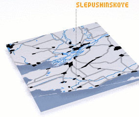 3d view of Slepushinskoye