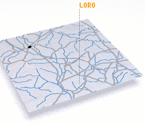 3d view of Loro