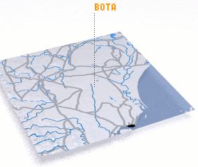 3d view of Bota