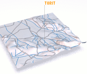 3d view of Torit